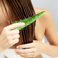 Soin Capillaire à l'Aloe Vera